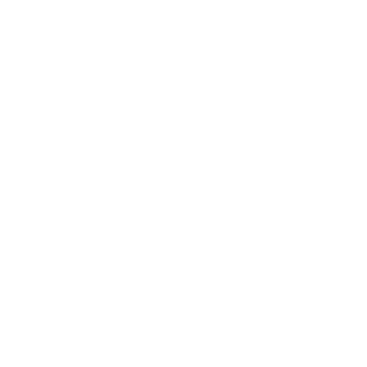 icon for fabri.cc intagram link
